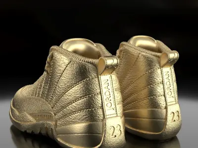 Air Jordan 12 Retro  3D print model