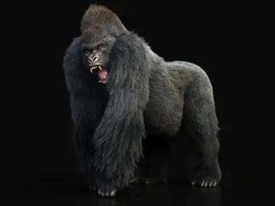 Gorilla RIG XGEN CORE 3D model