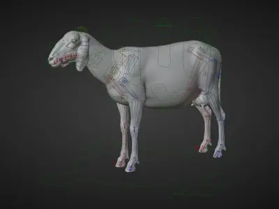 Assaf Sheep Pack Animated  VFX Grace 3D model