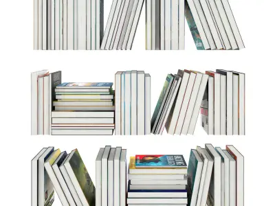 100 different books 3D model