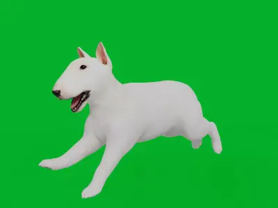 Bull Terrier Puppy Dog Low-poly 3D model