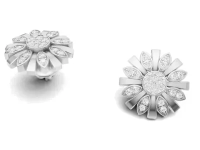 Flower Shape Diamond Earrings Style Stud For Women 3D print model