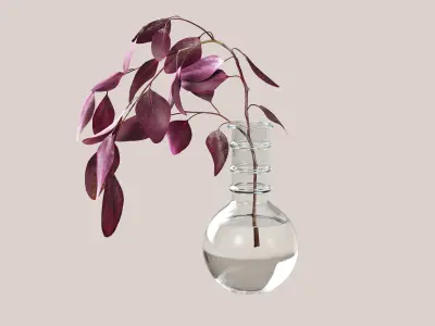 Eucaliptus flower 3D model