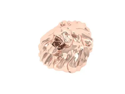 Lion Ring 3D print model