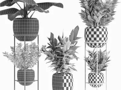 Collections Plants 07 3D model