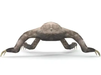 Sloth with claws Low-poly 3D model