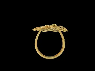 Fusion Gold Rings RAA01 3D print model