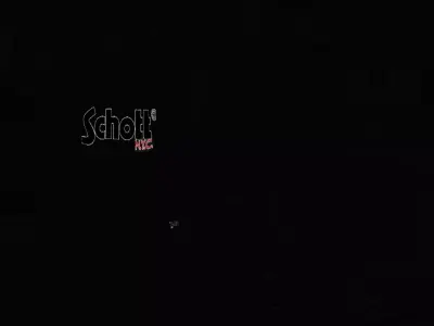 tracksuit Schott 3D model