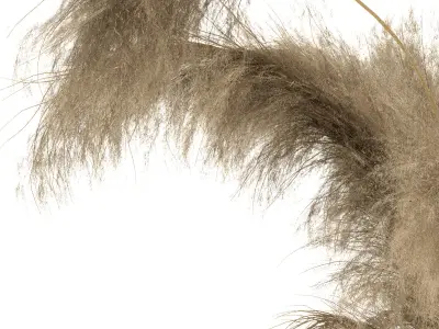 dry plants-pampas in jars of clay 3D model