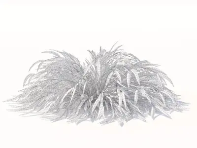  Hakonechloa macra grass vol 3 3D model