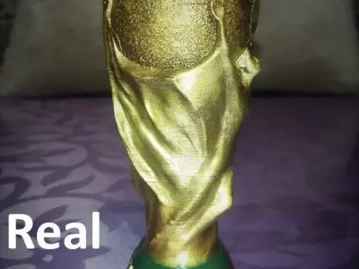 FIFA WORLD CUP 3D Printing 3D print model