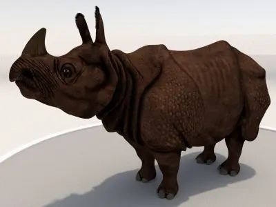 Rhinoceros Low-poly 3D model order