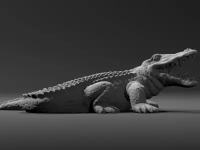 Alligator Crocodile  3D model