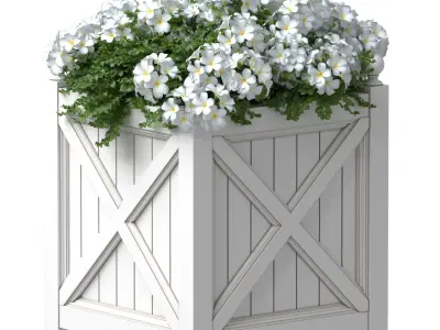  White flowers in a garden planter Patio 3D model