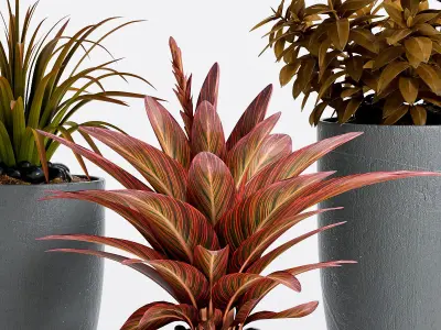 Decorative plant set-10 3D model