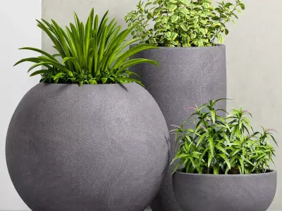 Decorative plant set-33 3D model