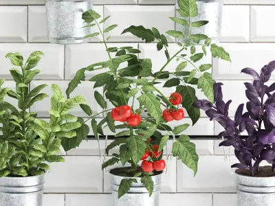 Decorative plants for the kitchen on railing 380 4 3D model