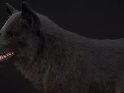 Black Wolf XGEN CORE RIG 3D model