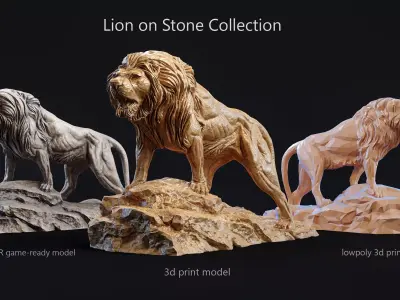Lion standing on a stone Collection