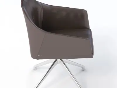 Easy Chair DS-279-201 by De Sede 3D model