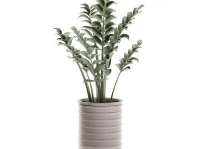  Decorative plants in pots on a stand for the interior 529 3D model