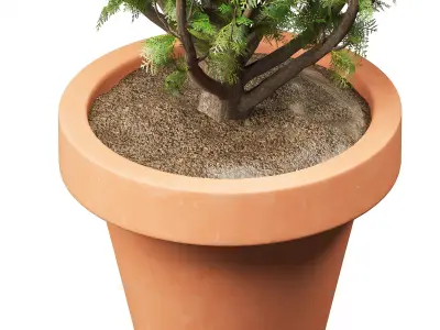 Vase Cypress Free 3D model