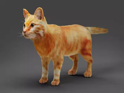 Fur Cat  Yellow 02 No Rigged  Low-poly 3D model
