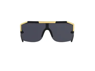 Luxury Sunglasses 3D Model 8 3D model