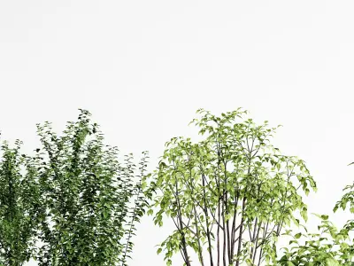 Potting Plant Modern Green 3D model