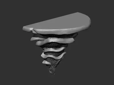 Mushroom Shelf 3D Printable Design 3D print model
