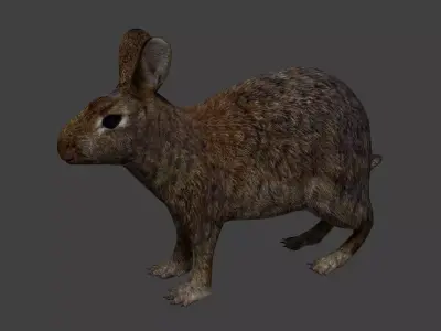 Rabbit Low-poly 3D model shop