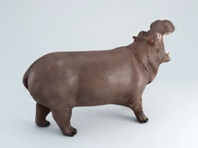 Hippopotamus Rigged 3D model