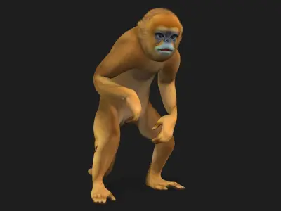 Monkey-A1 3D model