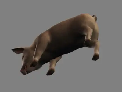 Pig Animations Low Poly- Game Ready Low-poly 3D model