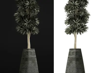 Plants Collection 62 3D model