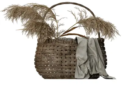 Reed Set vase with dried grass in it 3D model