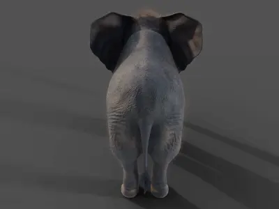 Fur Baby Elephant Rigged in Blender Low-poly 3D model