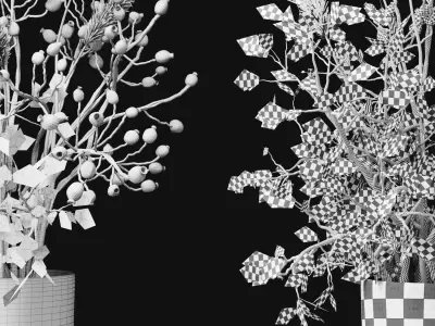 bouquet Dry flowers 02 3D model