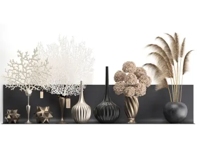 Collection of decor dried flowers on a shelf 3D model