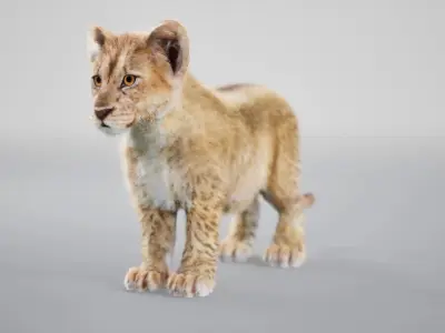 Lion Cub Rig UNREAL project  Maya base rig 3D model