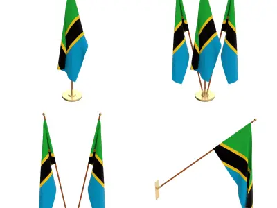 Tanzania Flag Pack 3D model