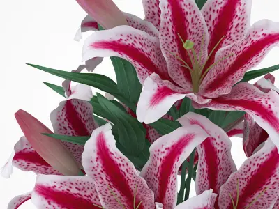 Lily flower 3D model