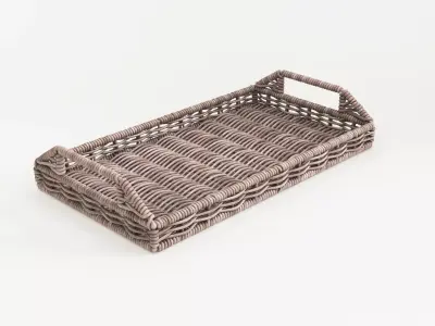 Wicker Tray 3D model