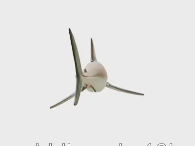 Thresher Shark with Long Tail Fin 3D Model Low-poly 3D model