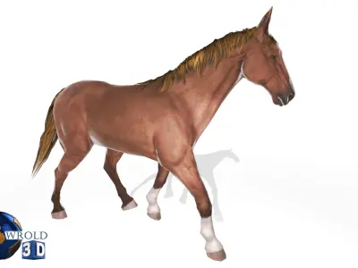 Gameready Horse Rigged Animated Lowpoly 3D Model Low-poly 3D model