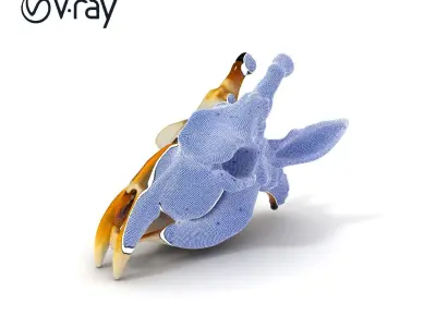 Giraffe Skull Model Pack with Detailed Bone Texture Low-poly 3D model