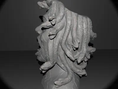 Medusa Planter 3D print model