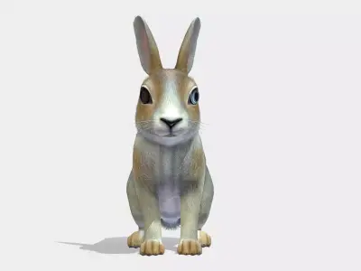 Bunny rabbit Low-poly 3D model purchase