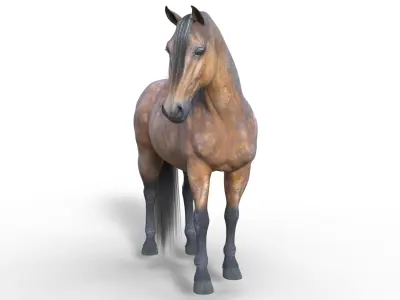 Realistic Rigged Horse  3D model