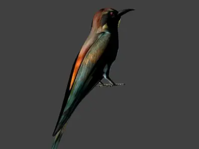 low poly bird Low-poly 3D model